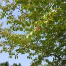 강화성지 이미지