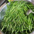 순순농장 네이버블로그