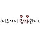 앤디스펫컴퍼니 이미지