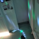 페퍼코인노래연습장 이미지