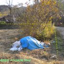 덕산양계 네이버블로그