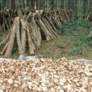 연화농장 이미지