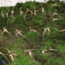 김성기농장 이미지