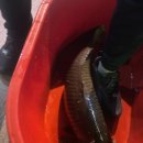 인천낚시터 | 인천실내데이트 추천 [DMZ실내낚시터] 다녀온 후기★ 대어를 낚았다!!