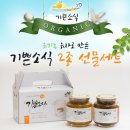 법인고금