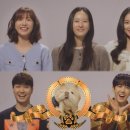 더모아뷰티 이미지