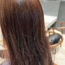 도연헤어 - 고양시 일산동구 | 도연헤어