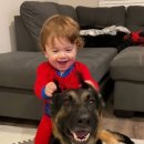 #pets #funnyanimals 이미지