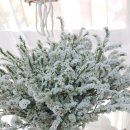 길음환승주차장 이미지