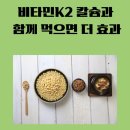 지에프식품소재