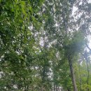 천반산휴양림화장실 이미지