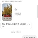 팔공산글램핑 이미지