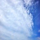 예치과의원 이미지