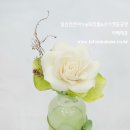 가드니아일산