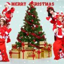 (12/13)크리스마스 미니트리 이미지