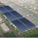 다음태양광발전소 이미지
