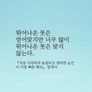 7월.30일.금요일 간추린 뉴스 이미지