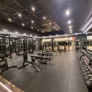 더 킹스짐 이미지