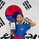 대진 윙 태권도 이미지