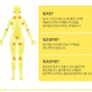 자아연