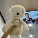압구정-223 | 압구정왁싱 잘하는곳 리포윅스 슈가링왁싱 뷰티 압구정 브라질리언 후기