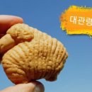 대관령양빵양빵양빵 이미지