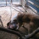 화성농장 이미지