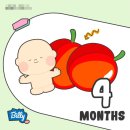 [12w0d~13w6d] 벌써 4개월 (산모교실,조리원예약,초기정밀초음파,소소한먹방)