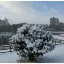 풍암호수공원 이미지