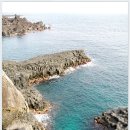 중문대포주상절리대 이미지