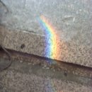 월드태권도장 이미지