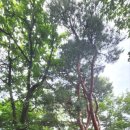 옥녀봉약수터 이미지