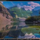 건강한미래약국 이미지