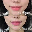 뉴핑크코스매틱 | 오페라 립틴트 맑은 광채 데일리 립밤 추천 1+1 행사 (코랄핑크/핑크레드)