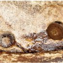 오색관광지 이미지