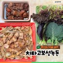 보성녹돈(녹차먹인돼지) | 명절선물세트 녹차먹인돼지 보성녹돈 삼겹 갈비 치타고 원조 보성 녹돈의 맛