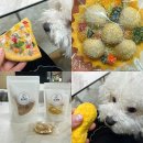 댕가앤쿡 이미지