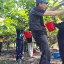 상교동주민센터 이미지