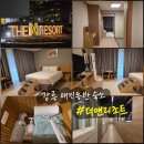 CU주문진등대점 | 강릉 애견동반숙소 온천리조트 더앤리조트 펫룸 솔직후기