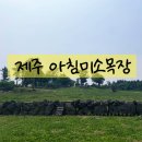 [제주도여행7편]아침미소목장_ 공항근처 아이랑가볼만한곳