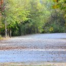 솔밭펜션 캠핑장 이미지