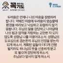 콩깍지 이미지