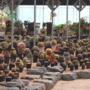 논산관광농원 이미지