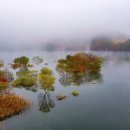 호숫가의아침 이미지