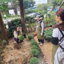 대신공원 이미지