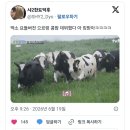 콩콩팜팜 1회 후기