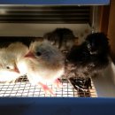 통나무밸리 이미지