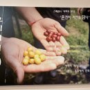 모리커피경주용황점