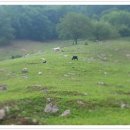 국사봉낚시터 이미지