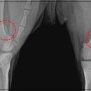 에스메디컬 이미지